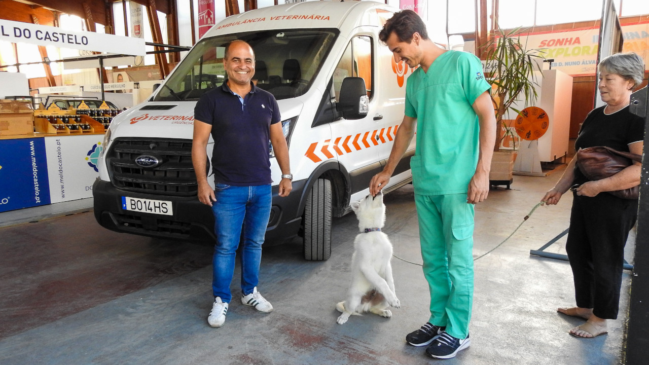 Ambulância 24h ao serviço dos animais de companhia