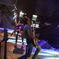 Skills & The Bunny Crew