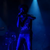 Skills & The Bunny Crew