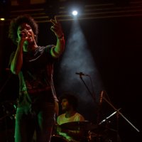 Skills & The Bunny Crew