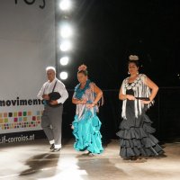 Sevilhanas da AESCA, Grupo Coral "Os Rouxinóis" e os Cavaquinhos e Concertinas