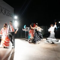 Sevilhanas da AESCA, Grupo Coral "Os Rouxinóis" e os Cavaquinhos e Concertinas