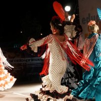 Sevilhanas da AESCA, Grupo Coral "Os Rouxinóis" e os Cavaquinhos e Concertinas