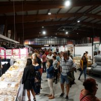 Noite de Peste & Sida