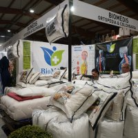 Noite de Peste & Sida