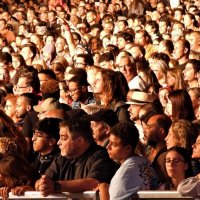Noite de Xutos & Pontapés