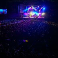 Noite de Xutos & Pontapés