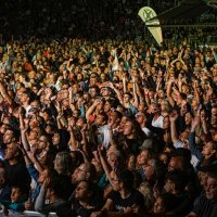 Noite de Xutos & Pontapés