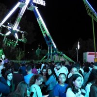 Noite de Xutos & Pontapés