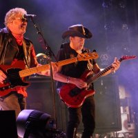 Noite de Xutos & Pontapés